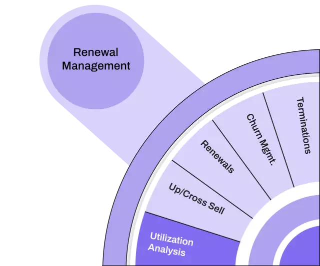 Renew and Expand quadrant—utilization analysis