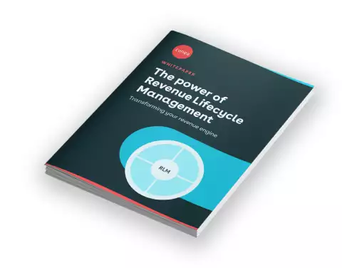 Preview of the power of Revenue Lifecycle Management whitepaper
